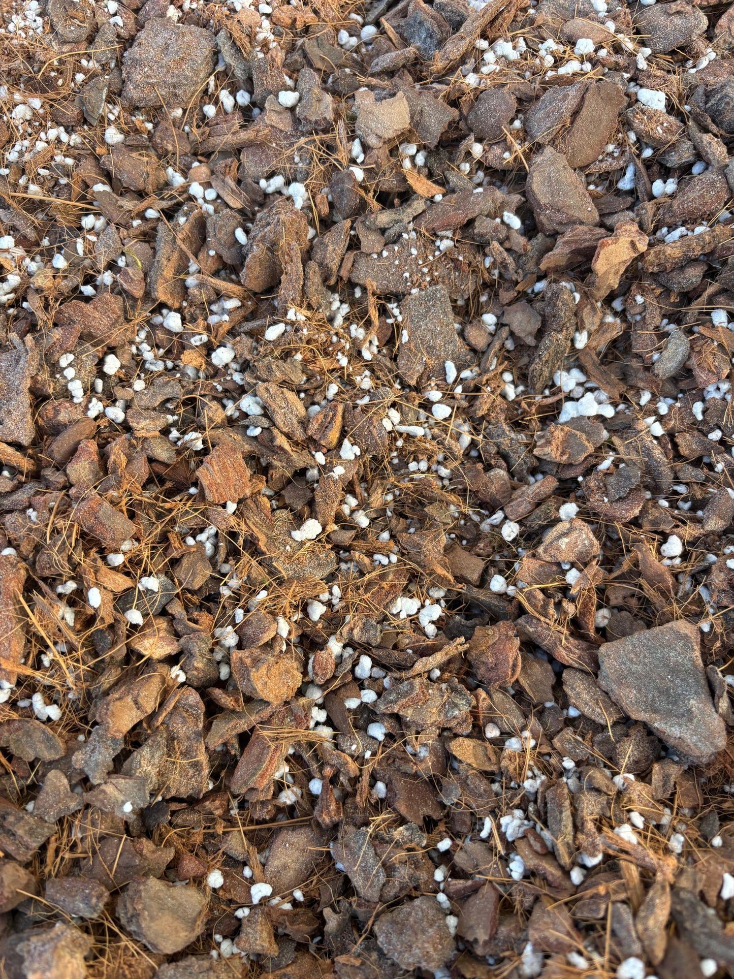 Sustrato para Orquídeas