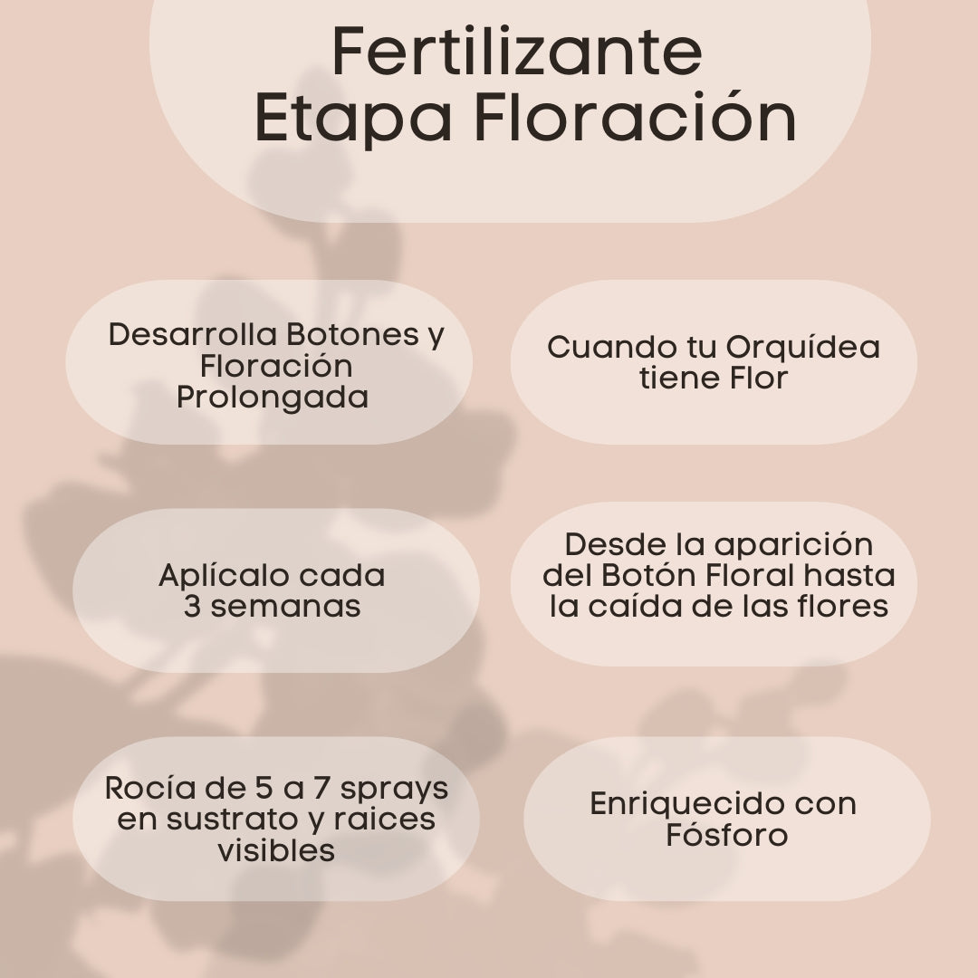 Fertilizante Etapa 2: Floración