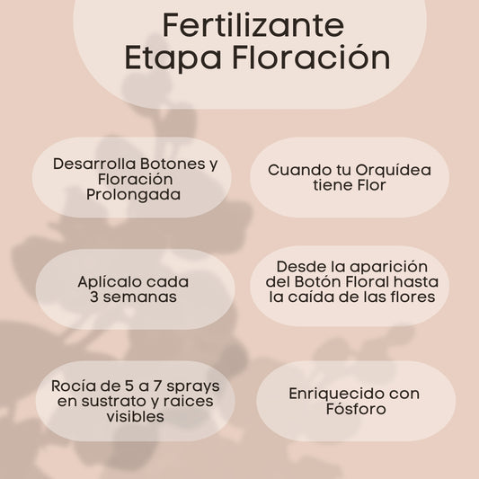 Fertilizante Etapa 2: Floración