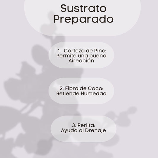 Sustrato para Orquídeas