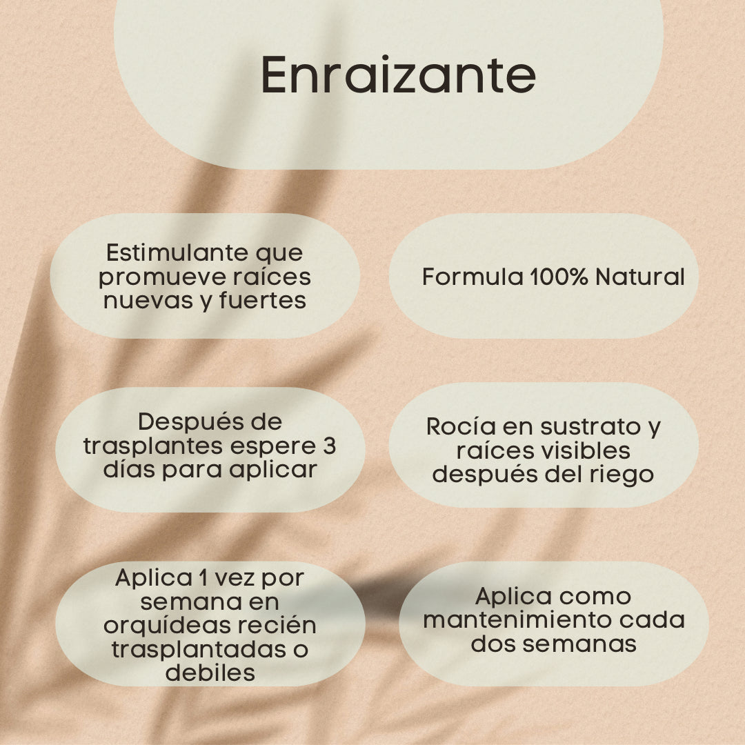 Enraizante para Orquídeas