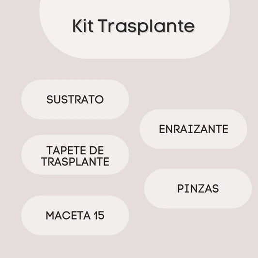 Kit Trasplante
