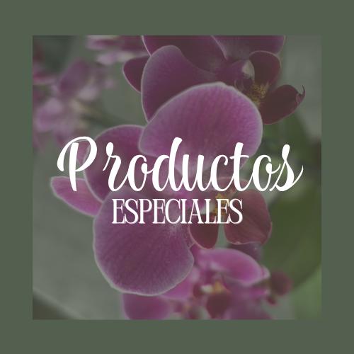 Productos