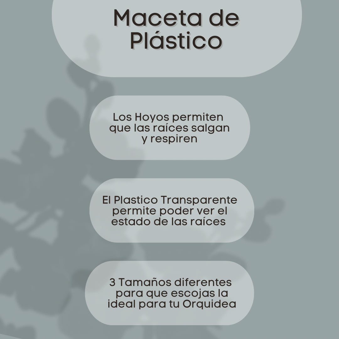 Maceta de Plástico