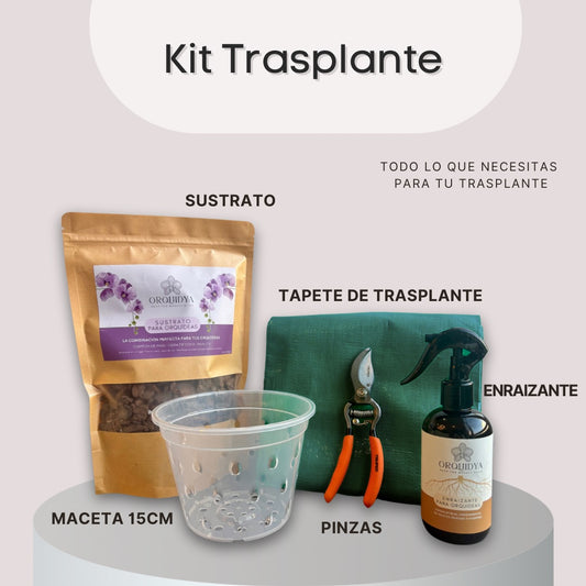 Kit Trasplante